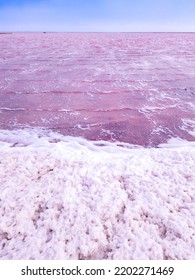 Dunaliella Salina Impart A Red, Pink Water In Mineral Lake With Dry