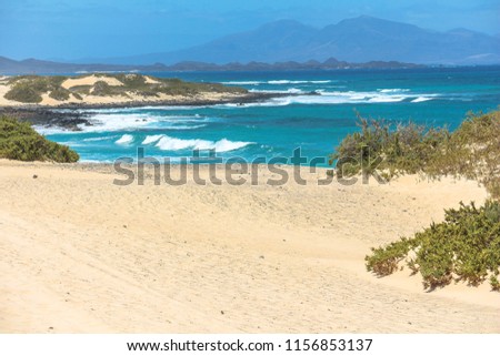 Dunas de Corralejo, sand dunes with sea, Fuerteventura