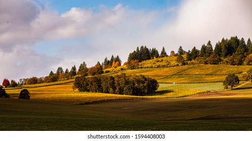 Dundee Hills Near Newberg Oregon , Wine Country 