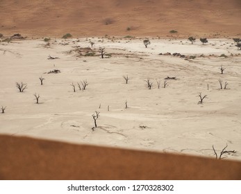 From a dune