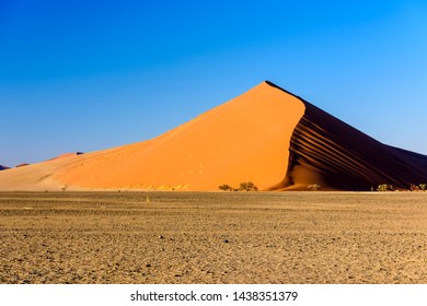 1,118 Oldest Dunes Images, Stock Photos & Vectors 