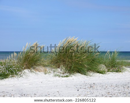 Similar – Image, Stock Photo Dune with sea view Freedom