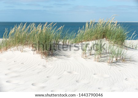 Similar – Image, Stock Photo Dune with sea view Freedom