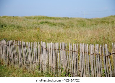 Dune Belgian Coast