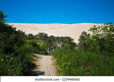 Dune Du Pilat In South Of France 