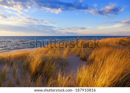 Dune Grass on Lake Michigan. Gold hued dune grass reflects the late day sun on the Lake Michigan shoreline