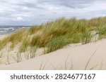 Dune grass in sharp foreground with blurred rough Baltic Sea and overcast sky in background. Typical, wild coastal landscape of the Polish Baltic coast — natural dune, beach ecosystem