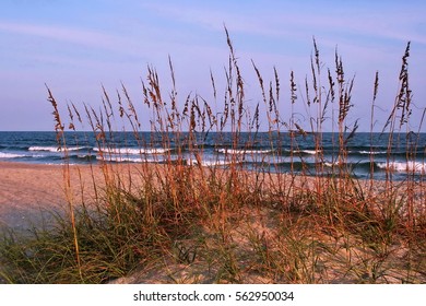 Dune Grass And Surf, Ocean Isle Beach, North Carolina