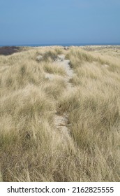 Dune at Grenen in Skagen