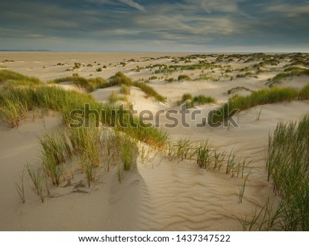 Landschaft mit Dünen auf der Insel Amrum