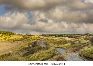 Dune landscape Hollands Duin Noordwijk in the Netherlands with bright sunlight and cumulus clouds in the sky and beautiful perspective depth effect through shadow and sun-lit parts and shell path