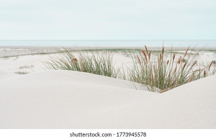 Dune landscape at the North Sea Beach - Powered by Shutterstock