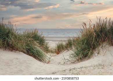 dune landscape on the north sea beach
