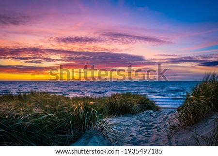 Dune at the North Sea beach in the sunset