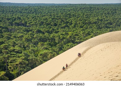 Dune of Pilat, La Teste-de-Buch, France - August 2021 : East side of the Dune du Pilat with a view on the Landes forest the largest maritime-pine forest in Europe