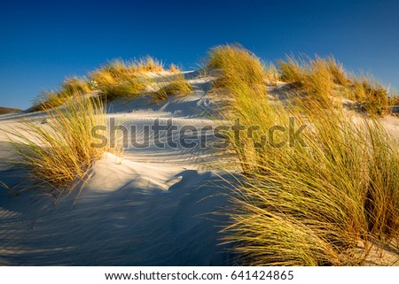 Similar – Landschaft mit Dünen auf der Insel Amrum