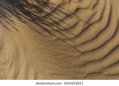 Dune waves and sand pattern. Wave, sand dunes. The sand changes shape due to the wind to form sand ripples and jagged lines. Selective focus. Copy space.