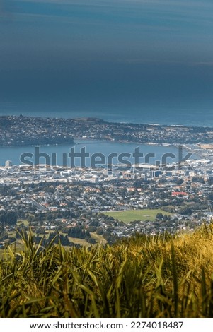 Dunedin from Flagstaff loop track in portrait perspective, Otago region, South Island, New Zealand