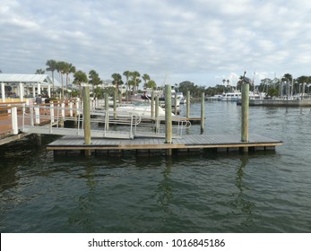 Dunedin Florida Sea