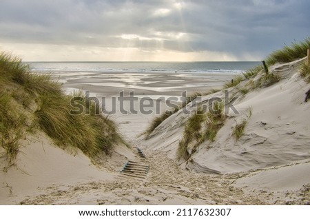 Dunes at the Beach of Amrum, Germany, Europe