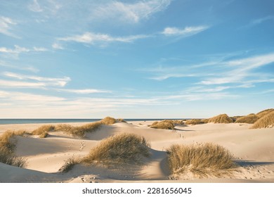 Dunes at the beach at danish coast. High quality photo - Shutterstock ID 2281656045