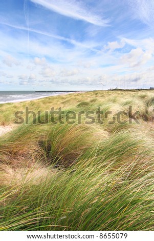 Dunes and the beach in spring