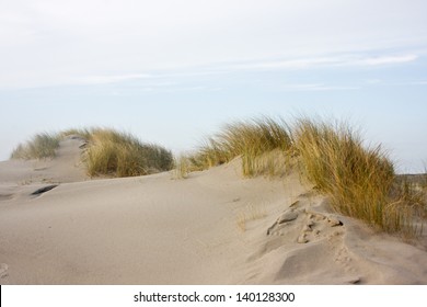 Dunes With Beachgrass