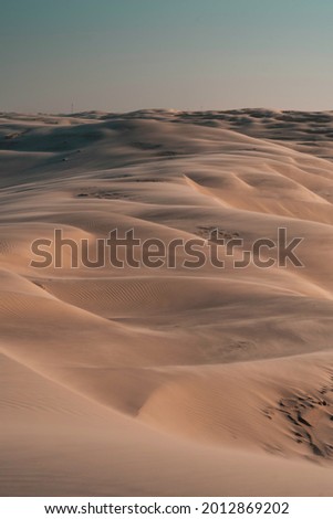 Dunes of Cidreira, Rio Grande do Sul, Brazil, South America, Lençóis de Cidreira