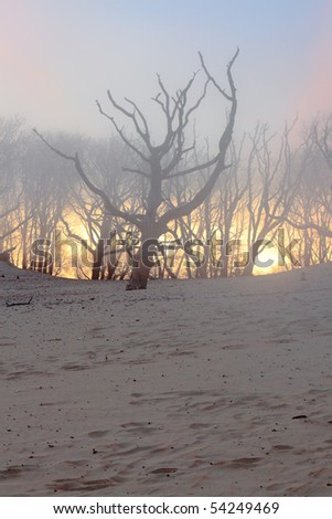 Similar – Image, Stock Photo Early morning light-sand dunes. Taklamakan-Xinjiang-China-0369