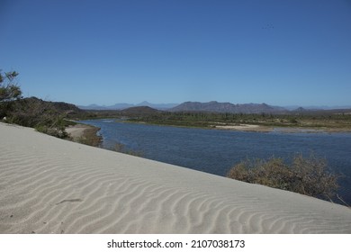 Dunes, Desert, Estuary, Mangrove, All In One Place