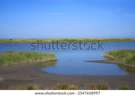 Similar – a tideway leads through the blooming salt marshes on Hallig Gröde