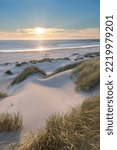 Dunes and dune grass at sunset. Nehalem State Park, Oregon.