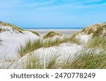 Dunes landscape, East Friesland, Lower Saxony, Germany, Europe.
Sand dunes landscape in East Frisia.