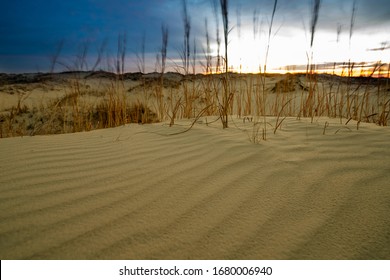 Dunes From Monahans Sandhills State Park In Texas