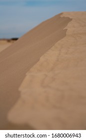 Dunes From Monahans Sandhills State Park In Texas