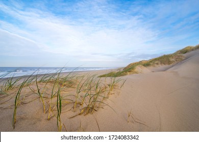 Dunes In The Morning Sunlight. Grasses Grow On The Hilltops. In The Blue Sky, White Clouds Move To The Sea. Beach In The Netherlands Near The Island Texel.