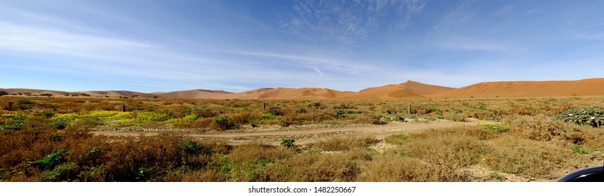 Dunes in Namib desert, Sossusvlei, Namibia
