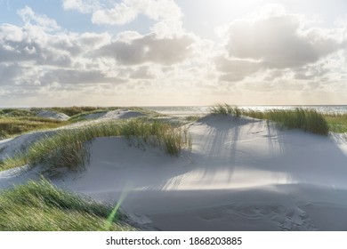 Dunes At The North Sea Beach