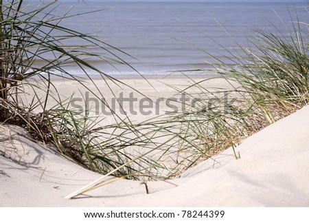 Similar – Image, Stock Photo Dune with sea view Freedom