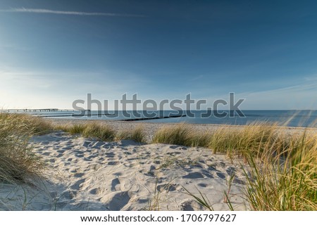 Dunes on the beach of the Baltic Sea near Heiligenhafen, Schleswig-Holstein, Germany, Dune landscape on the beach of the Baltic Sea 