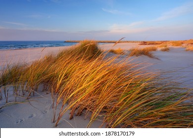 Dunes On The Coast Of The Baltic Sea, Beach, White Sand, Grass, Blue Sky, Kolobrzeg, Poland.