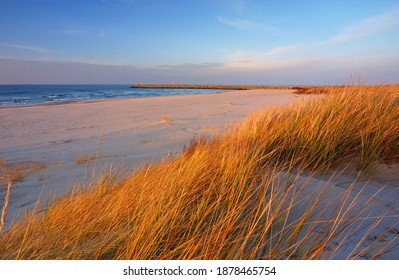 Dunes On The Coast Of The Baltic Sea, Beach, White Sand, Grass, Blue Sky, Kolobrzeg, Poland.