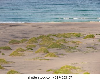 Dunes On The Great, Sandy, Beautiful Bunes Beach, Lofoten, Norway, Northern Europe