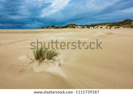 Similar – Landschaft mit Dünen auf der Insel Amrum