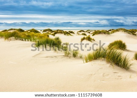 Similar – Landschaft mit Dünen auf der Insel Amrum