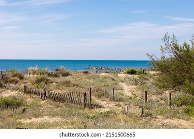 Dunes Of Petit Travers Beach In Carnon, Near Montpellier, In Spring