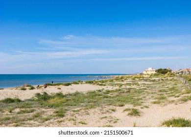 Dunes Of Petit Travers Beach In Carnon, Near Montpellier, In Spring