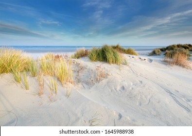 Dünen, Sand, Strand, Nordsee im Sonnenschein, Holland
