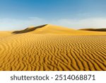 Dunes of Thar Desert. Sam Sand dunes, Rajasthan, India