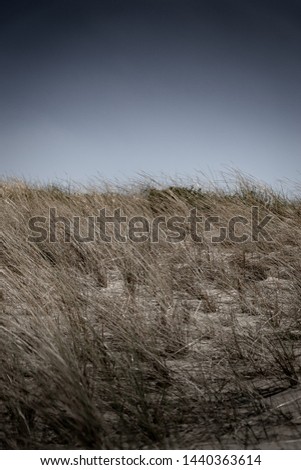 Similar – Image, Stock Photo day at the sea #4 Nature